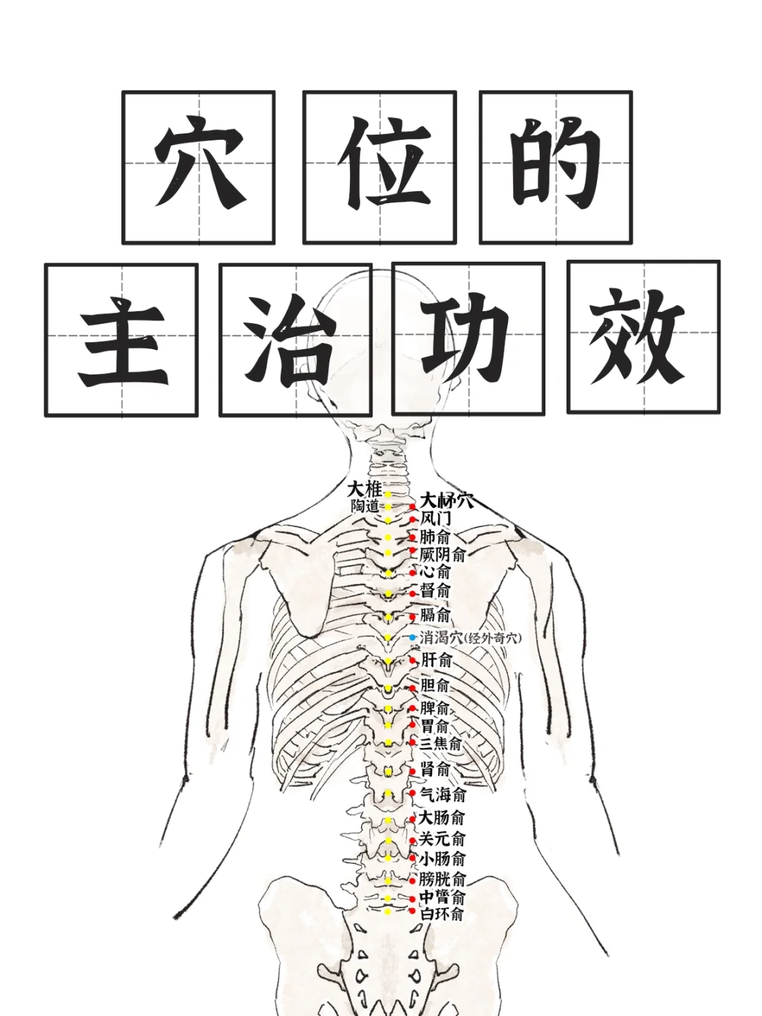 膀胱经-背部穴位主治功效大全