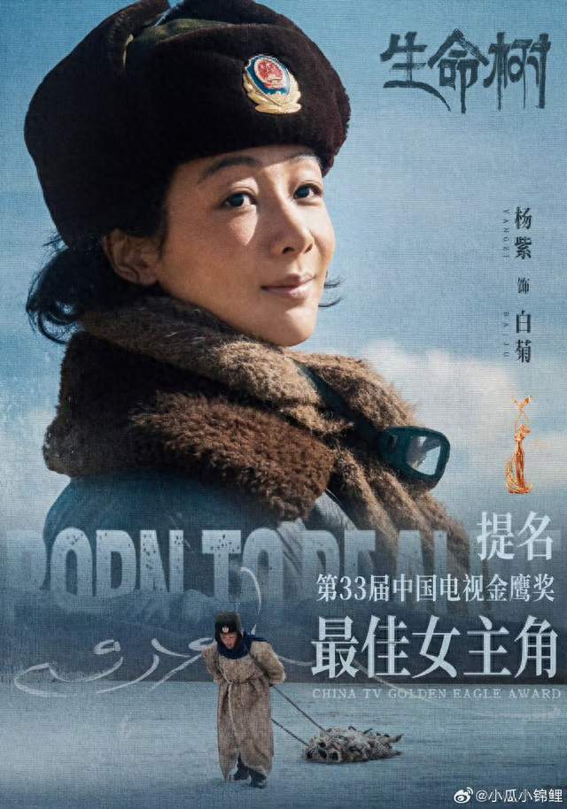 杨紫入围金鹰奖六强，不只是靠人气，背后原因很现实