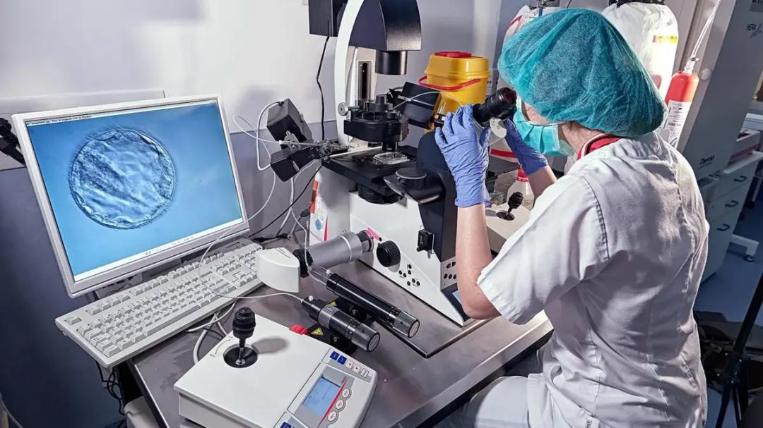 欧洲精子库爆雷！一男子捐致癌精子生200娃，已有人患癌去世？