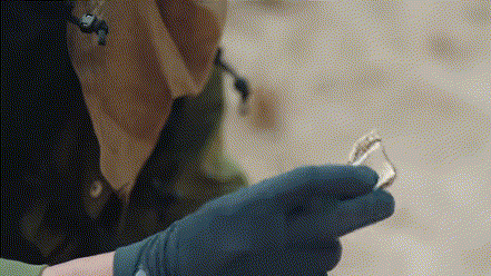 纪录片《真探来了》中，为探寻楼兰古城的秘密走进沙漠，最终在同时期的米兰古城的墓葬