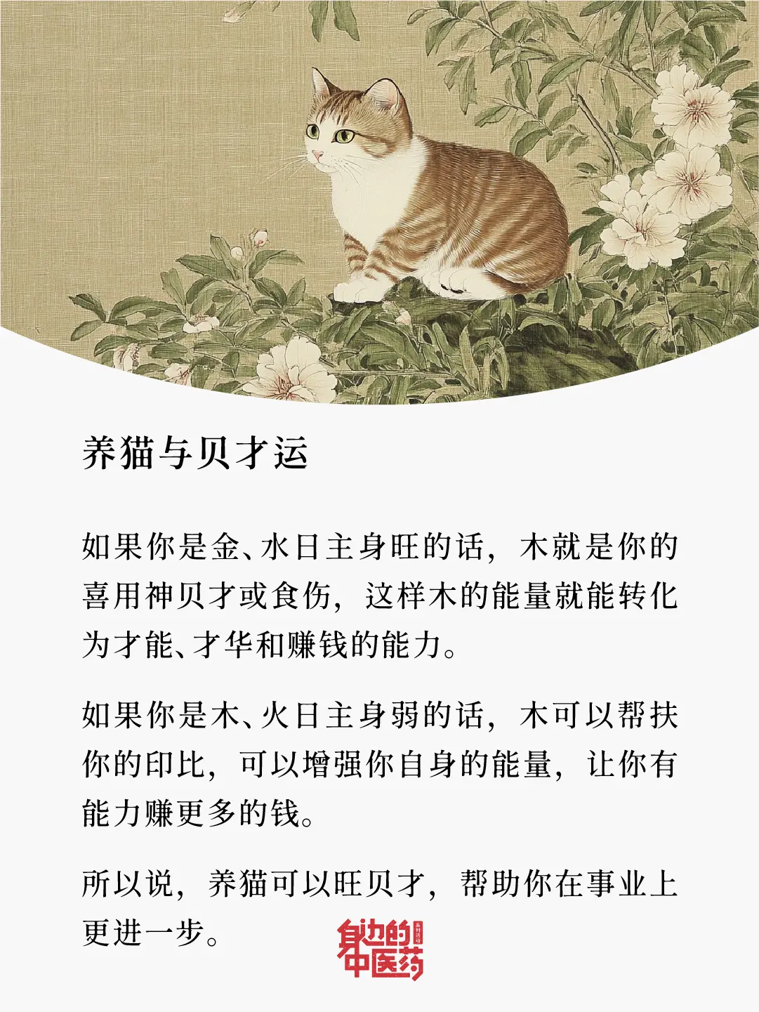 并不是所有属相都适合养猫哦！