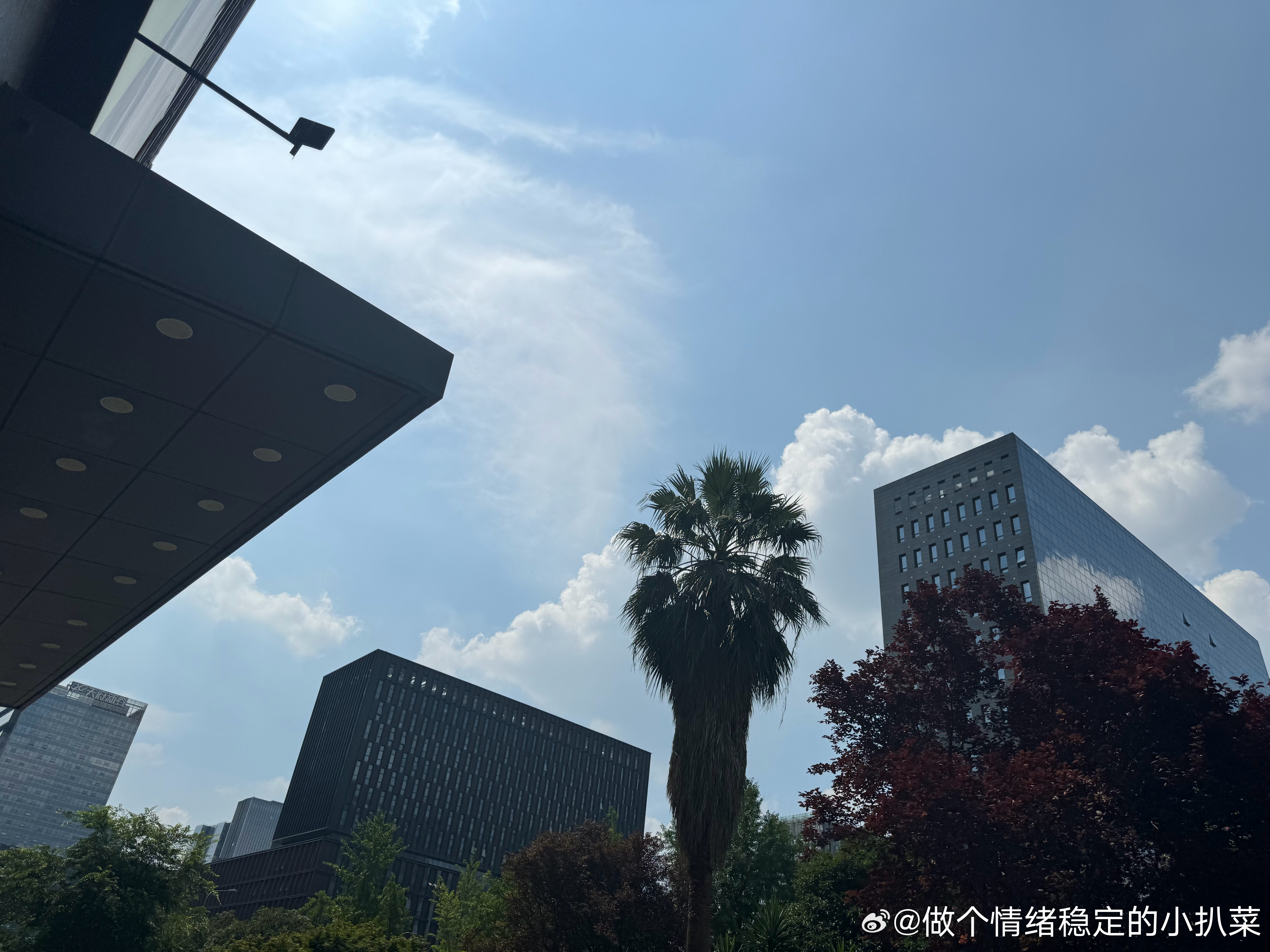 每日一善  做一个善良的人，善良是心湖绽放柔媚的花朵，它如雪花一样晶莹纯洁，是人