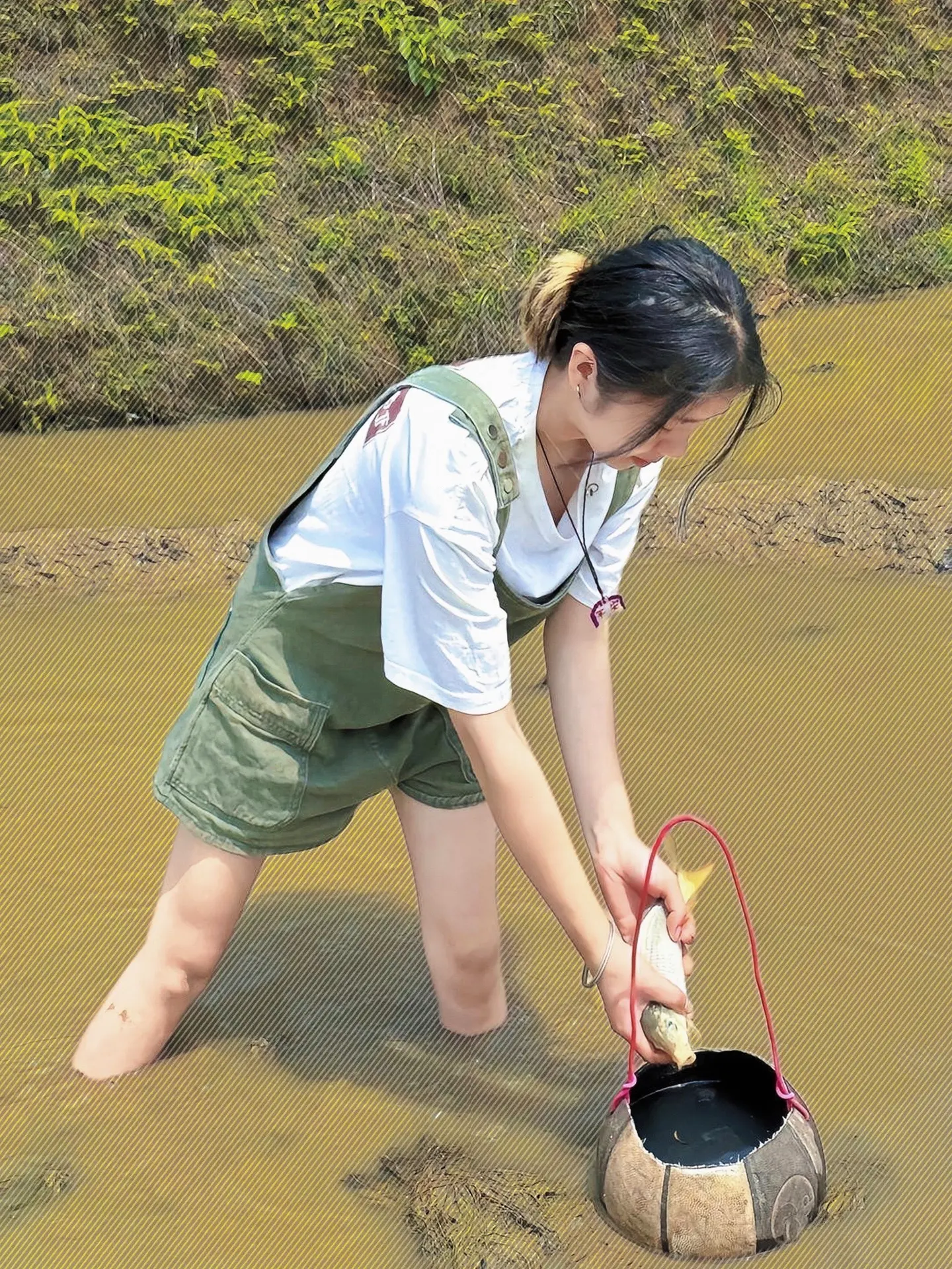 这就是所谓的浑水摸鱼吧