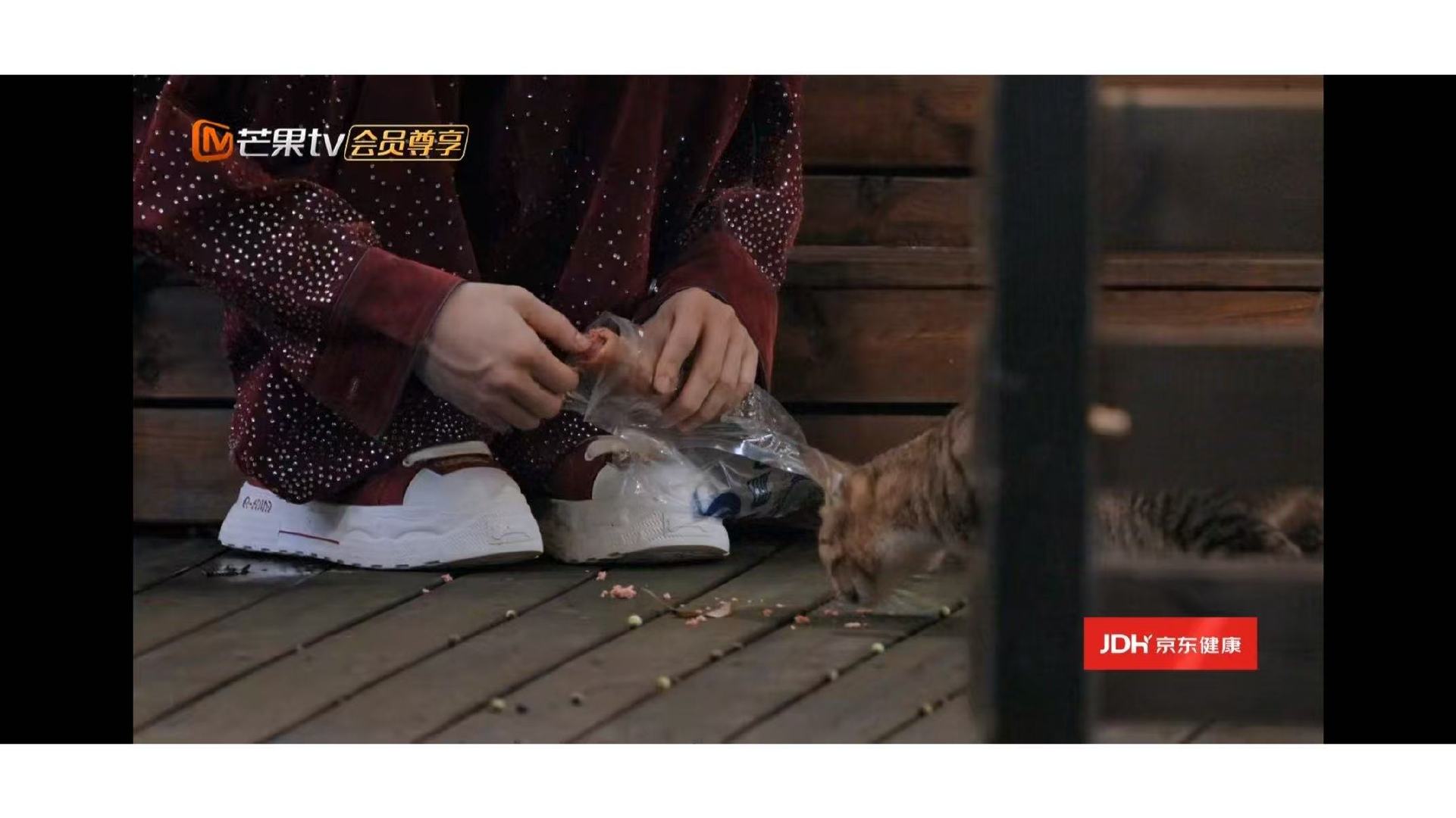 披荆斩棘神转场张彬彬没喂的猫陈若轩喂了 张彬彬回宿舍路上偶遇一只猫，让猫跟他回去