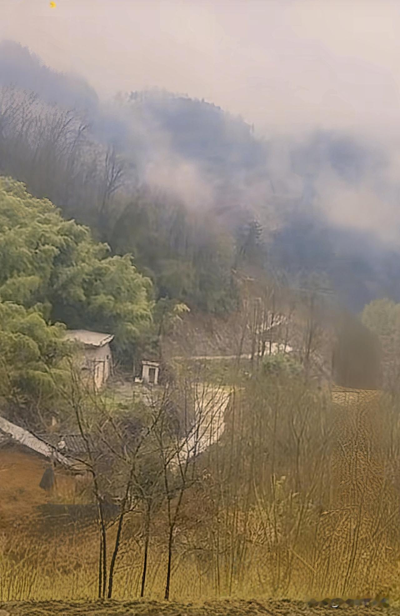 放到山上的收蜂桶，被别人拿走了。作案者已被我晓得了。
忙活了一天，又是用烟熏，又