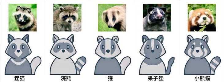 💡「教你如何分辨狸猫、浣熊、獾、果子狸和小熊猫」 