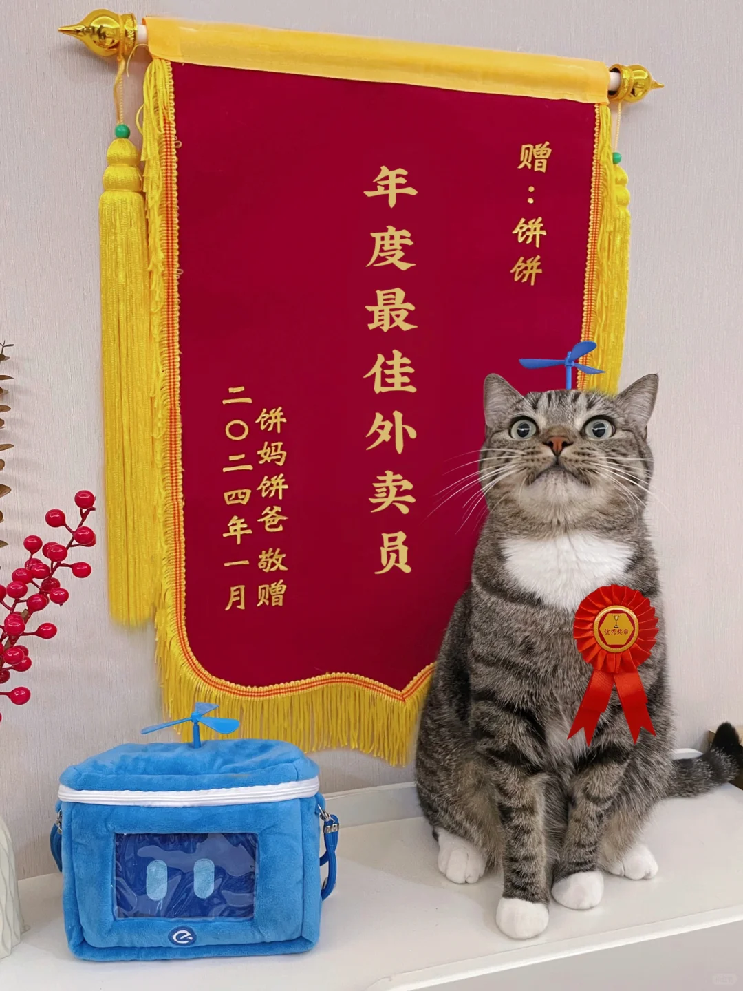 以防你们没见过猫猫得锦旗，给你们看看！