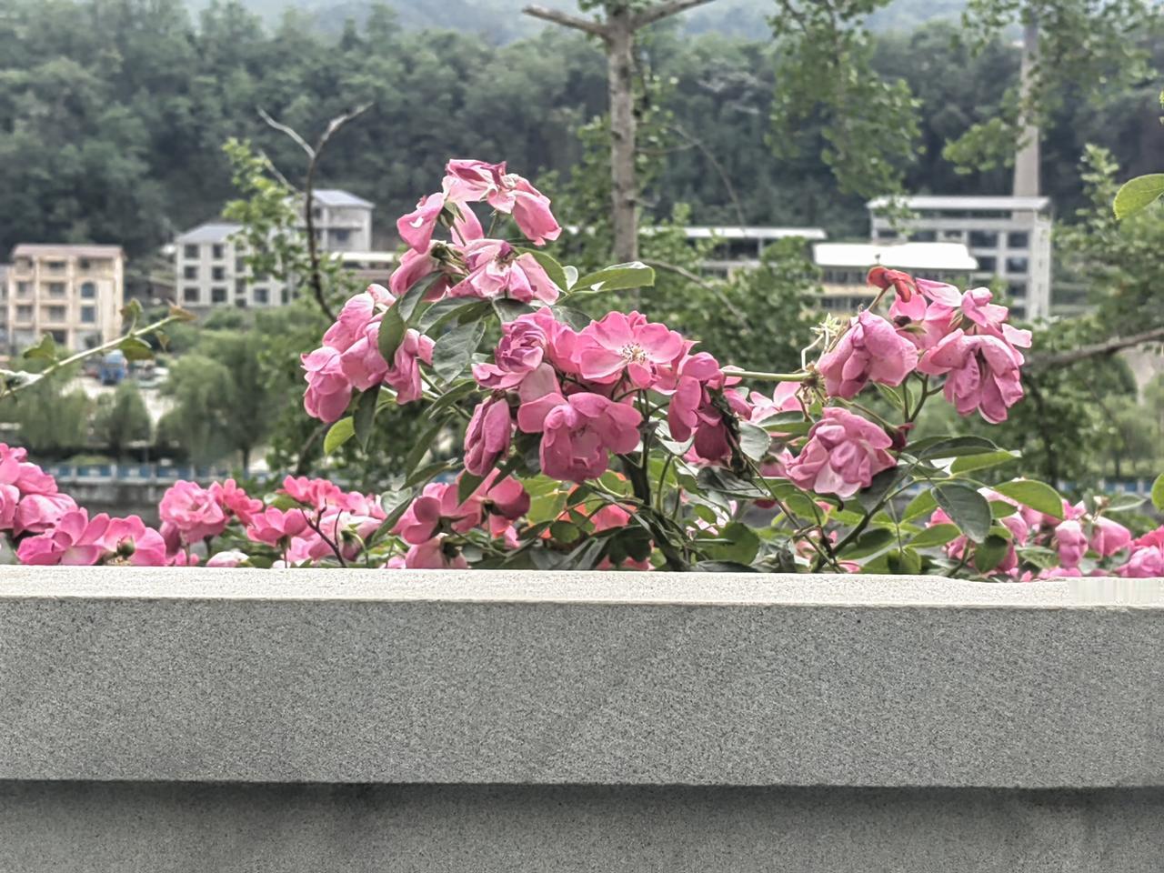告诉你一个秘密
一个好男人在家定然
听从妻子的话
帮妻子分担家务
妻子是他的宝贝