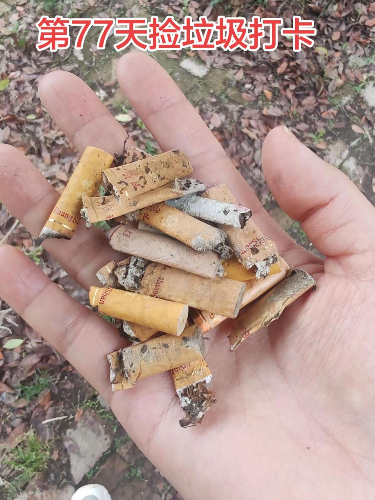 捡烟头垃圾护环境