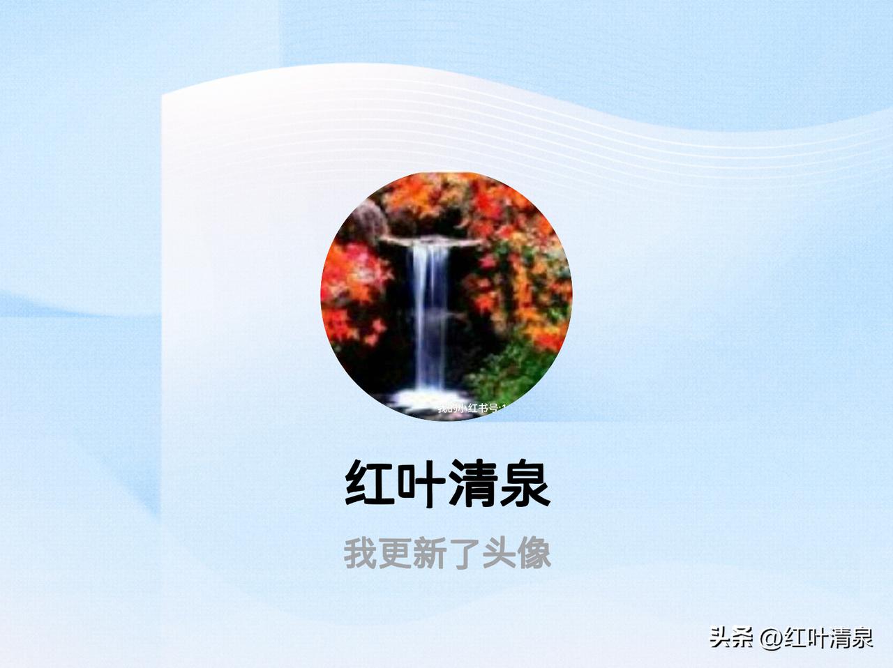 快来看看我新换的头像吧