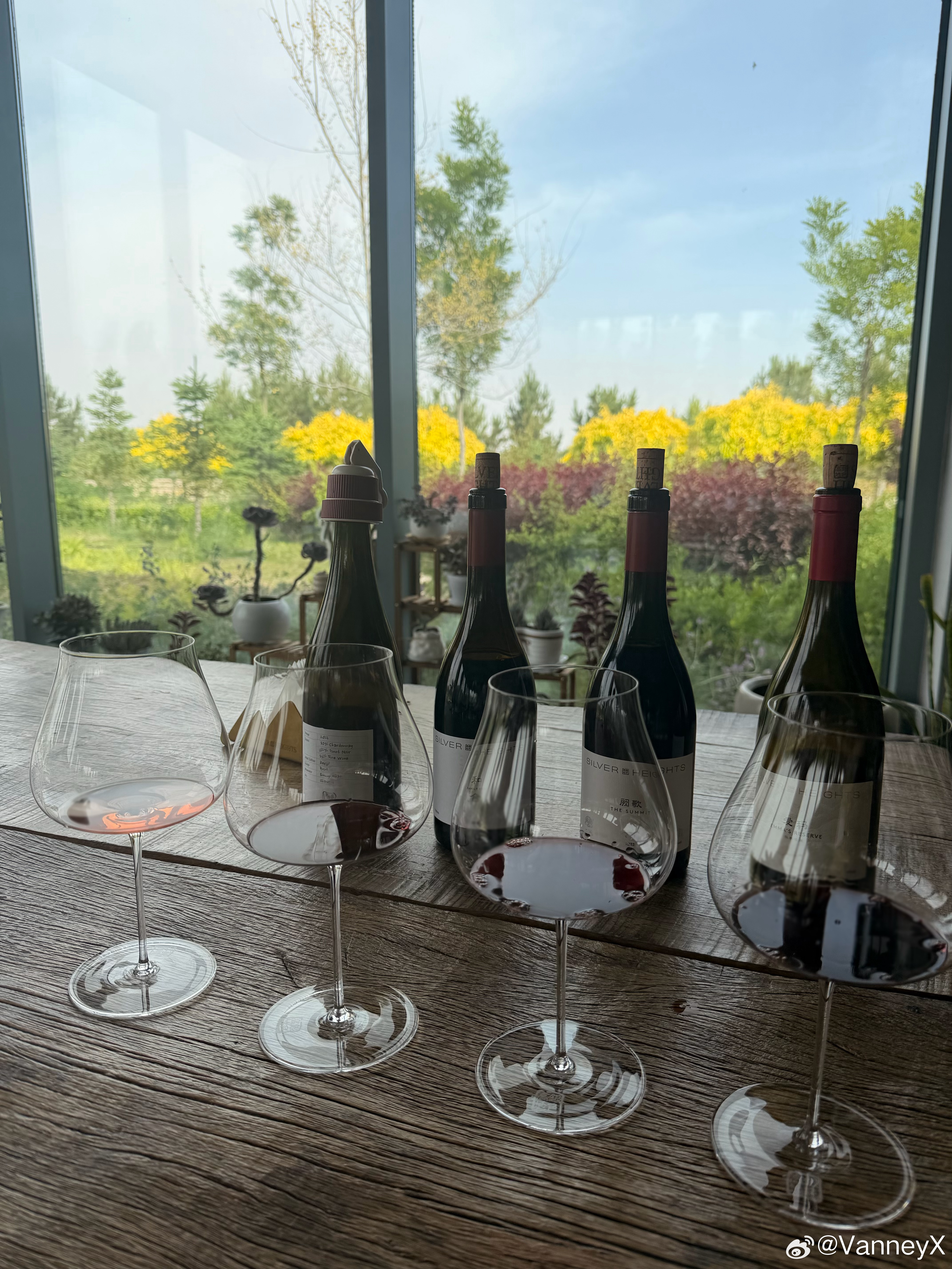 参观一下宁夏的葡萄酒庄 喝开心了🍷 银川·银色高地酒庄