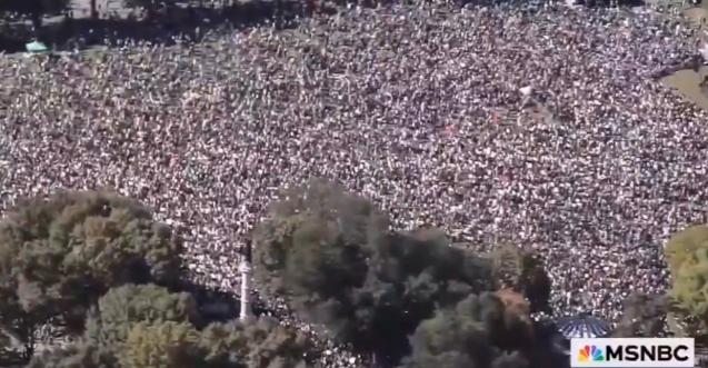 美国历史上“规模最大”的游行，第一类：持续时间最长、总参与人数最大的抗议运动；第