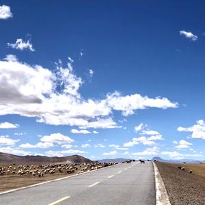 简衣素食行江湖