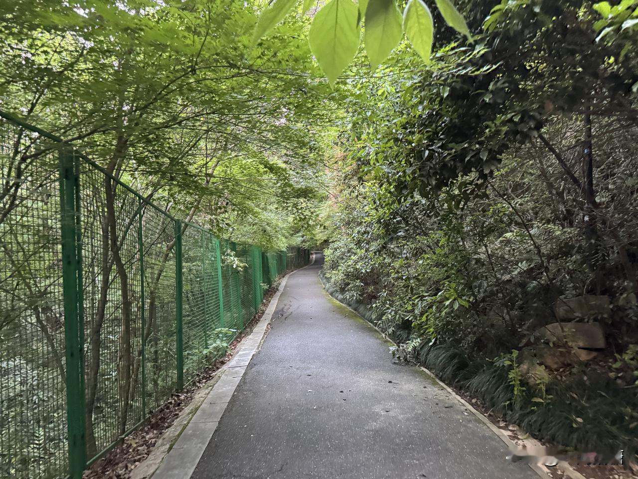 你有没有这样的时刻？
忙完一整天工作，回到家累到一句话都不想说，对家人没耐心、容