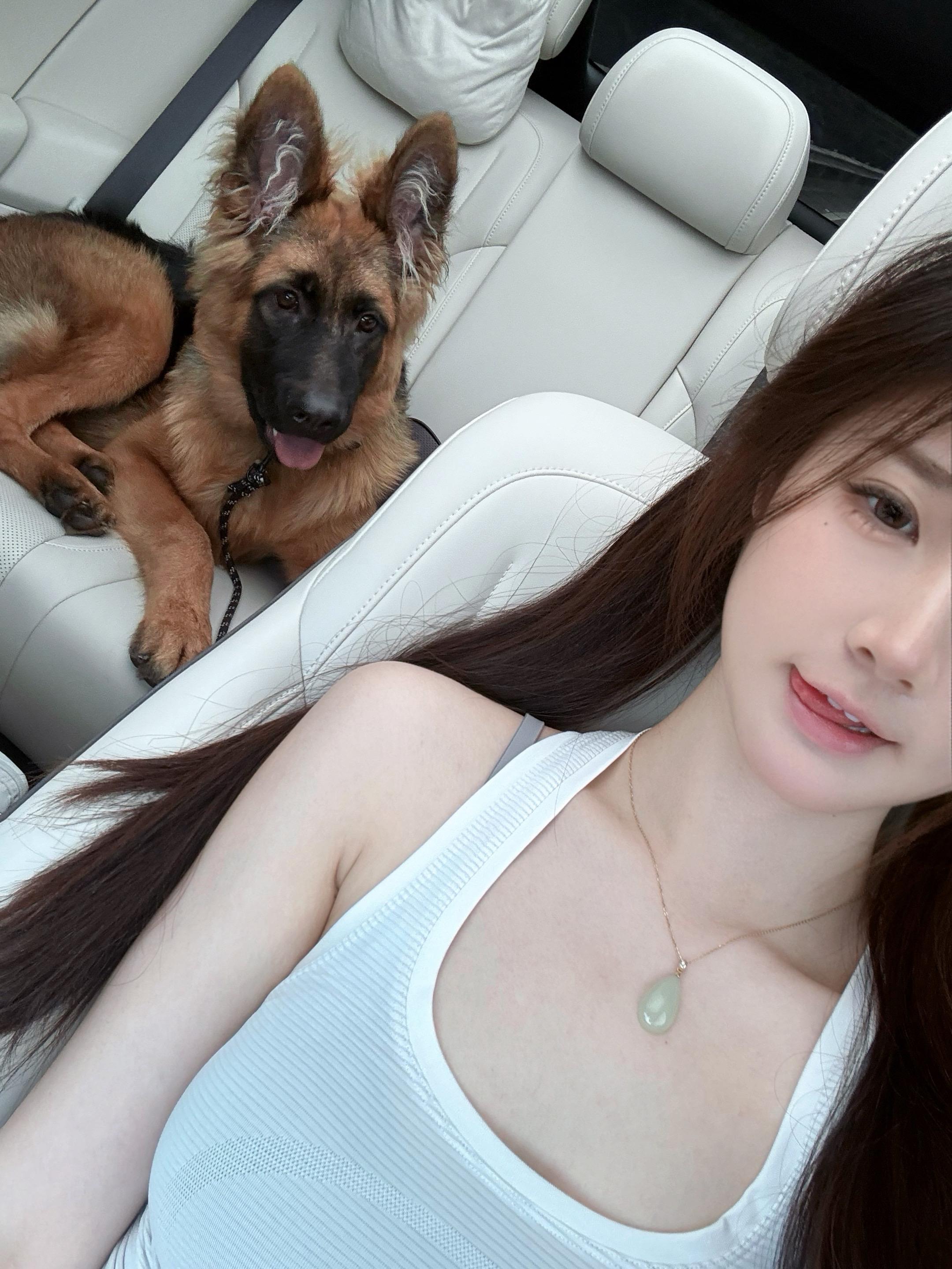 顶着最萌的脸养最烈的犬