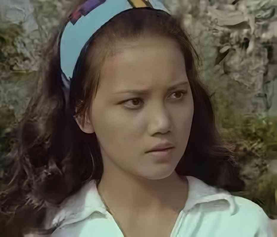 胡茵茵，1949年2月27日生于台湾，是70年代活跃于香港的影视女演员。1969