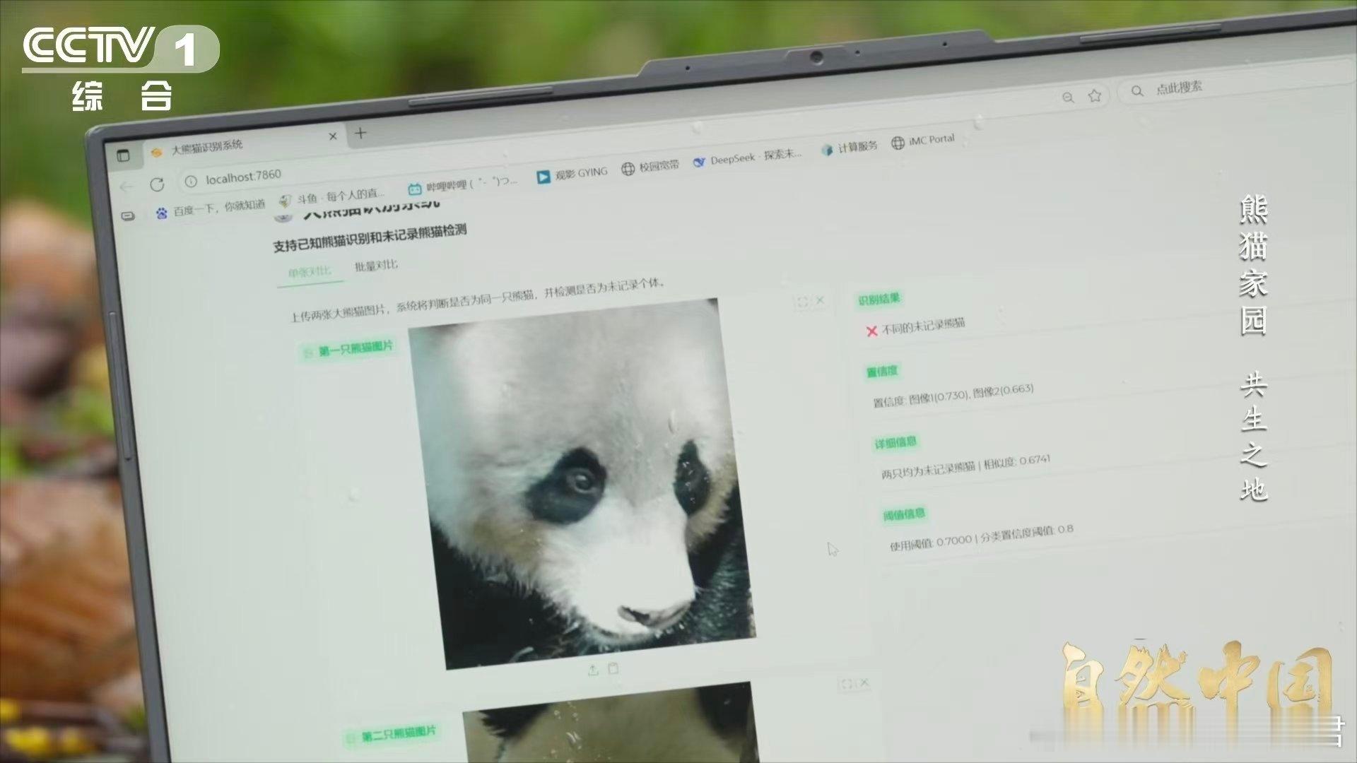 大熊猫也用上猫脸识别系统了【AI刷脸正为大熊猫建立身份证】给野生大熊猫“刷脸”是