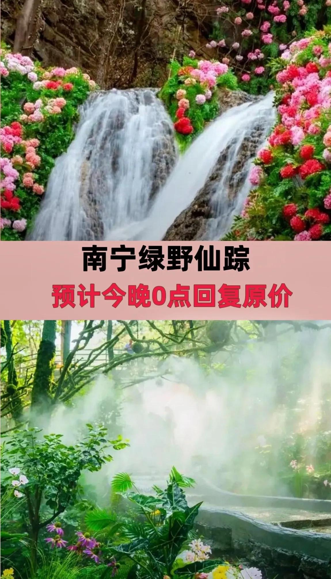 南宁绿野仙踪。