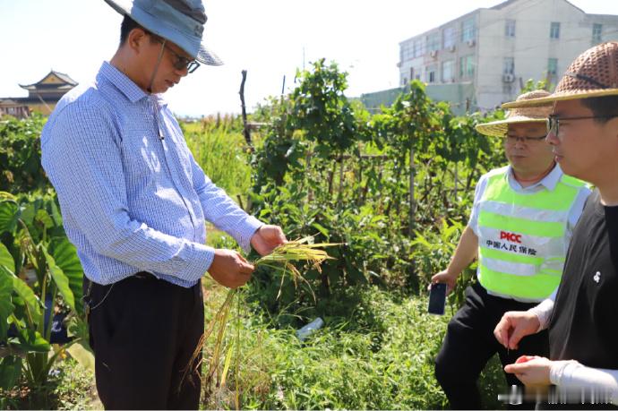 田间抢收水域清患台州椒江冲在防台第一线 台风还在海上，椒江已把防台功夫下在了前头