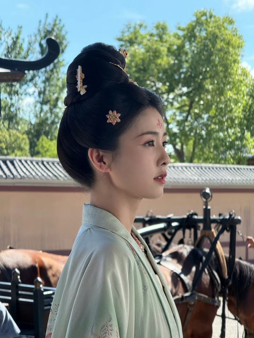 白鹿到底做错了啥错在太红了，错在成叶璃了，错在要播莫离了，叽里呱啦的6月9号都来