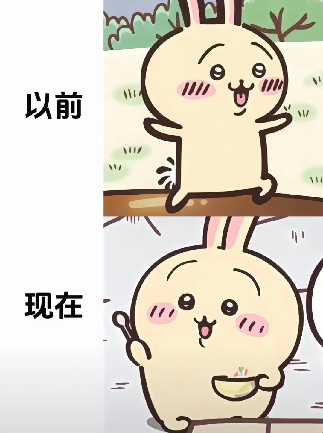 越来越肥美的537 chiikawa[超话]  