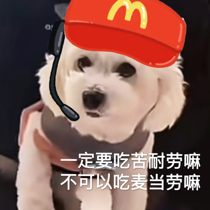 猫宁！这几天秘书回家休息啦，在等志伟传照片呢[捂嘴哭]评论报数按时间顺序第28 