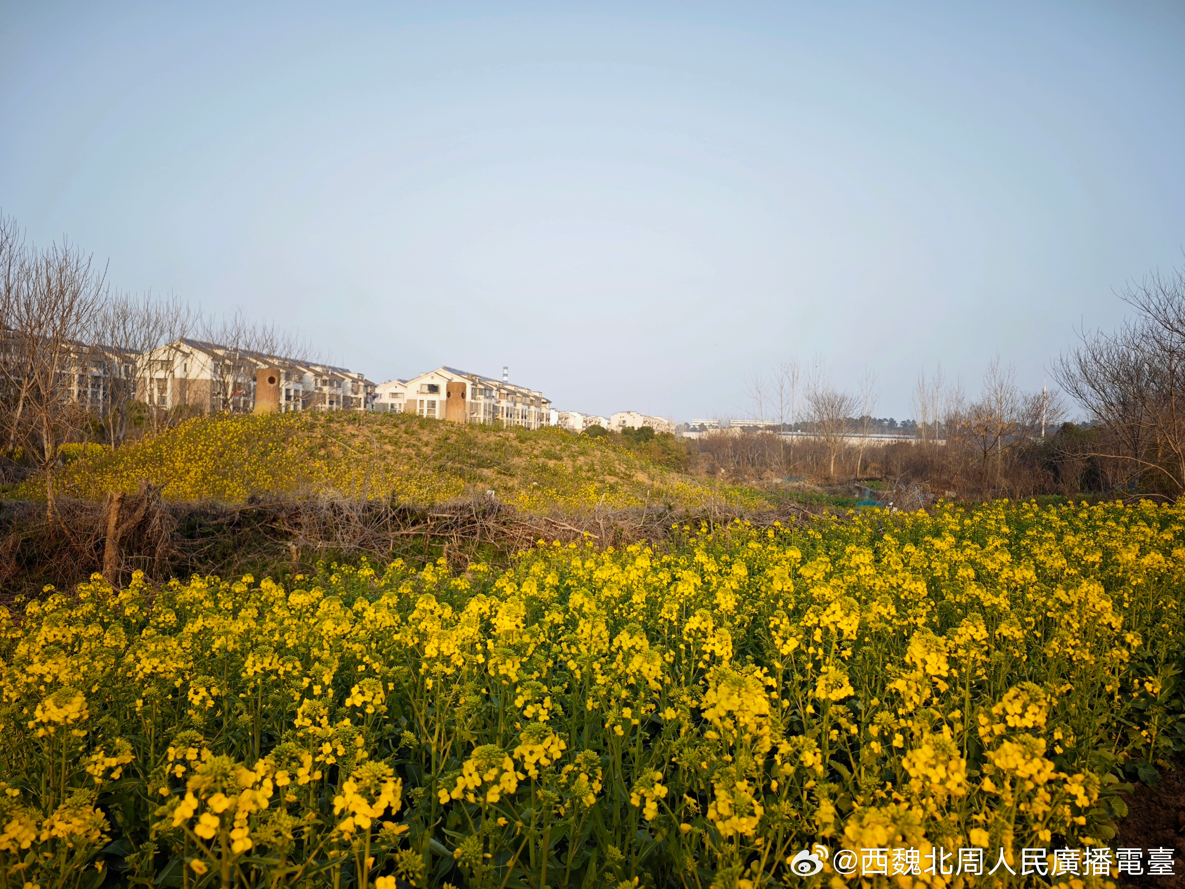 魏晋考古 明日黄花 马鞍山·宋山墓