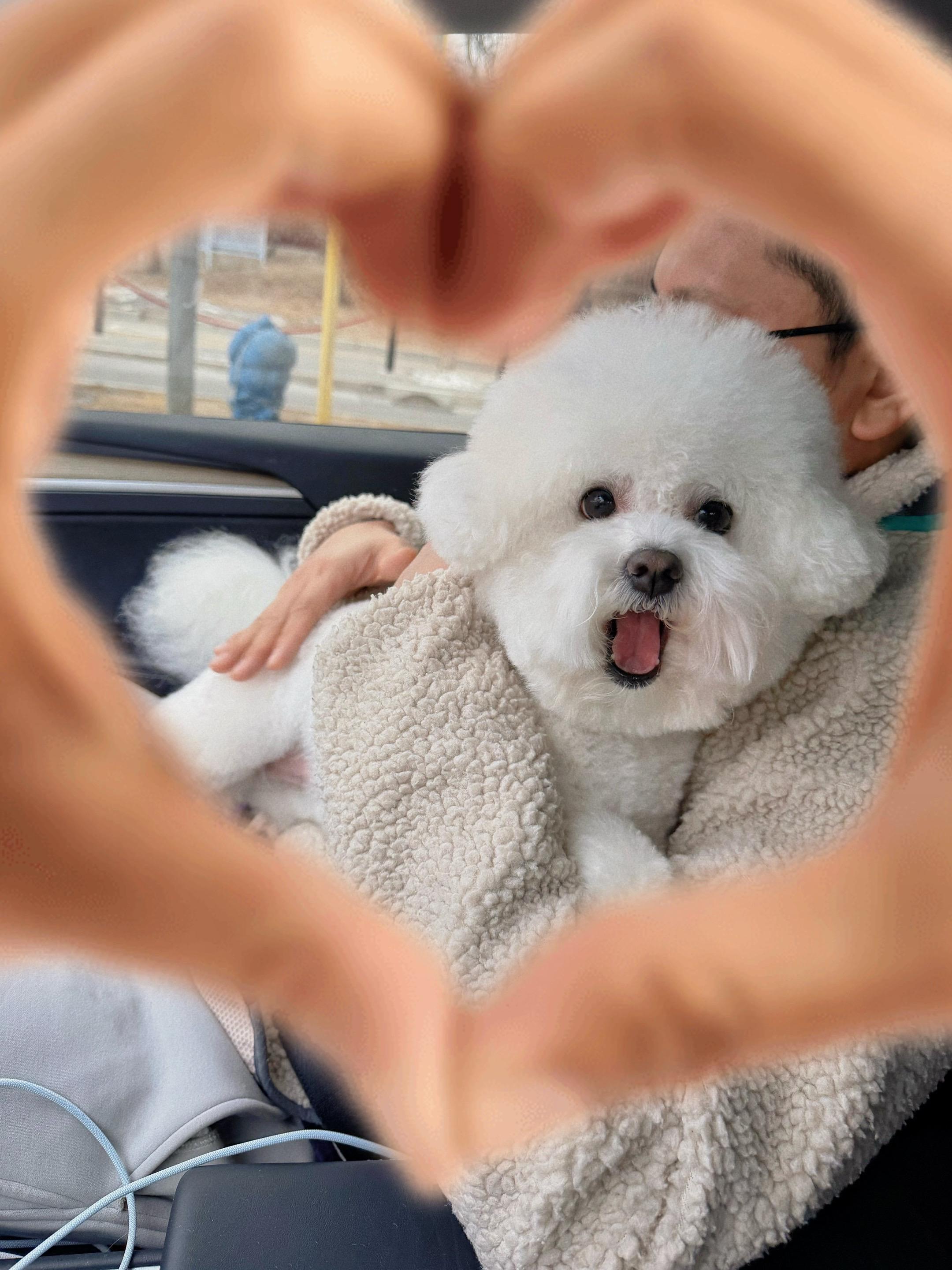 今天洗完澡了🫶。