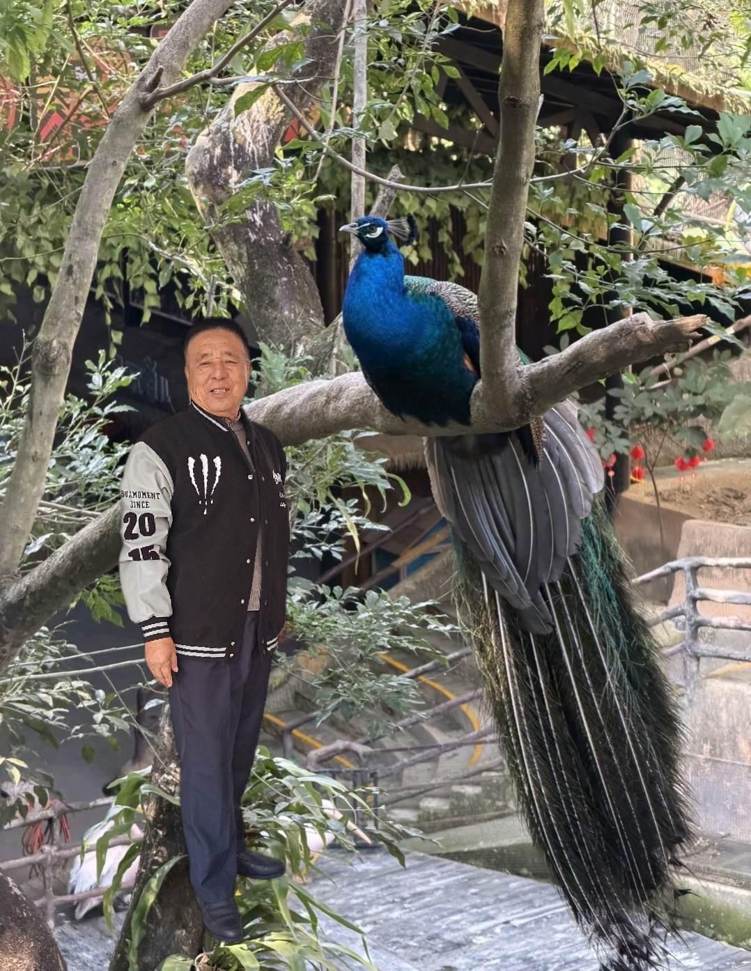 一首，不知不觉已经变老，不开心的一切全部忘掉一一