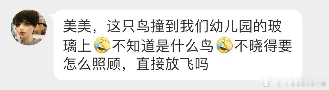 #撞玻璃的鸟# 撞玻璃的【绿翅金鸠】漂亮的咕咕！ 放纸盒里休息会就可以带树林里放