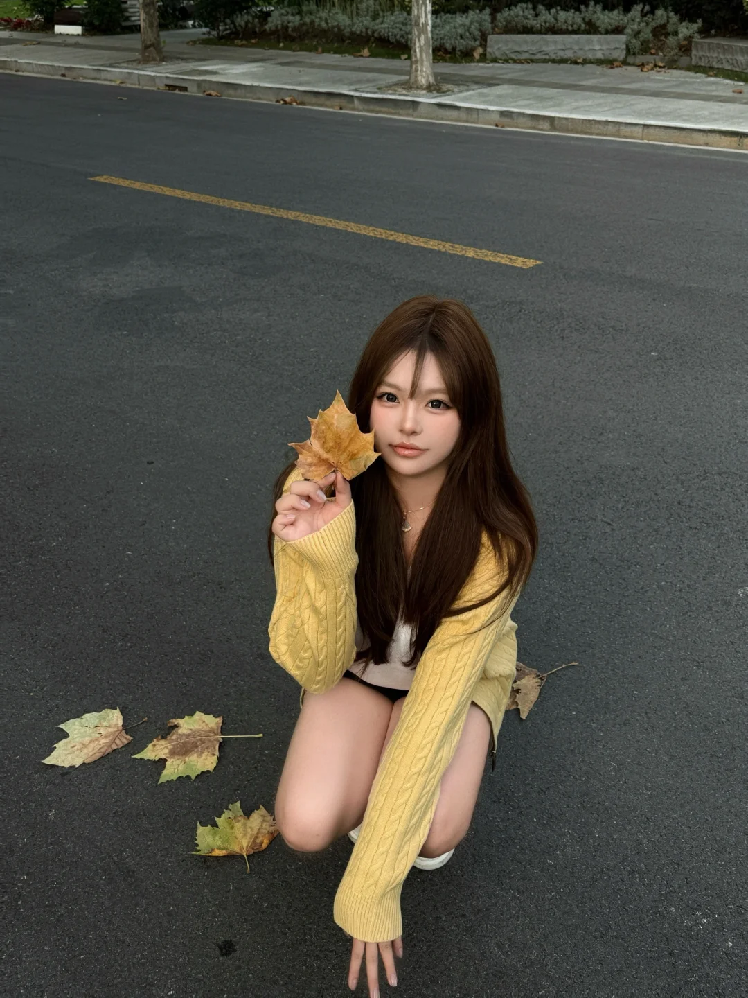 风居住的街道🍂