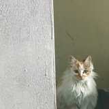 娃生爱看历史