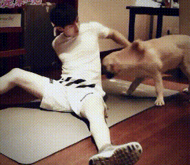 考古成毅《营救汪星人》花絮真的太好笑了！
那时候的成毅还带着点青涩感，眉眼特别干