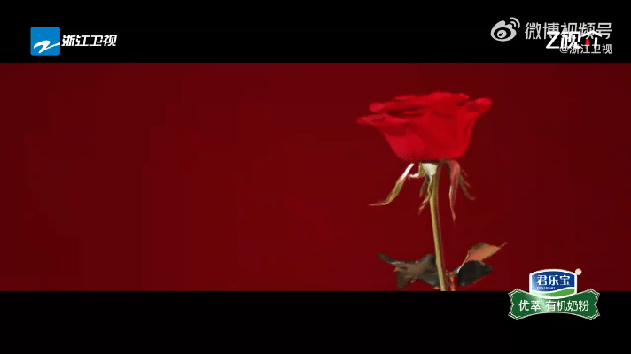 镜头之下，关晓彤以指尖轻触那绽放的玫瑰礼花，细碎的光斑纷纷扬扬，落满她的肩头。方