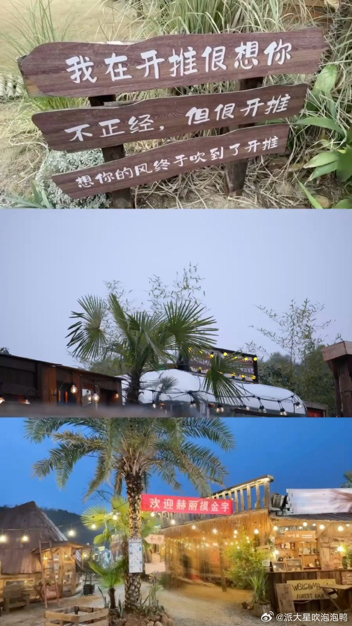 白宇开推3收官live图 白宇在推市专注推理，开怀大笑，每一张都藏着节目里的精彩