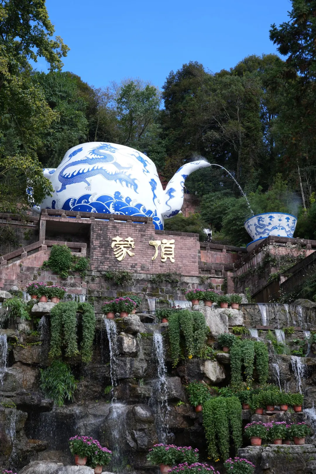 🫶🏻听姐妹说天盖寺的菊花展开了🌼 那儿的菊花色彩斑斓，真的美得不...