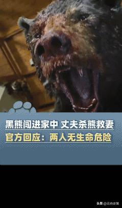 这才是真正的护妻狂魔！四川一大妈被“熊瞎子”扑倒，大爷拿起锤子去救，结果也被扑倒