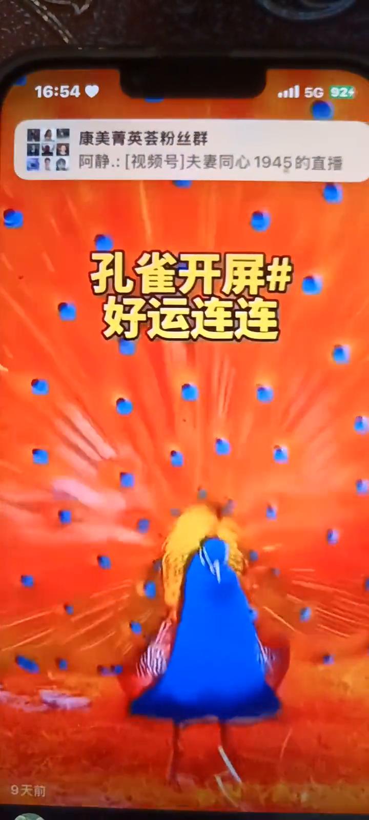 孔雀开屏，好运连连。
菁英荟直播加热互动群。
小环：[视频号]谭世利频道的直播。