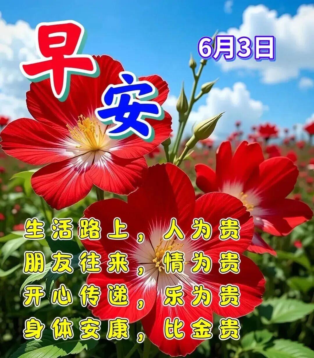 老友新天安康，不用总为琐事奔波内耗，好好保重身体，日常多遇上顺心机缘，大大小小的
