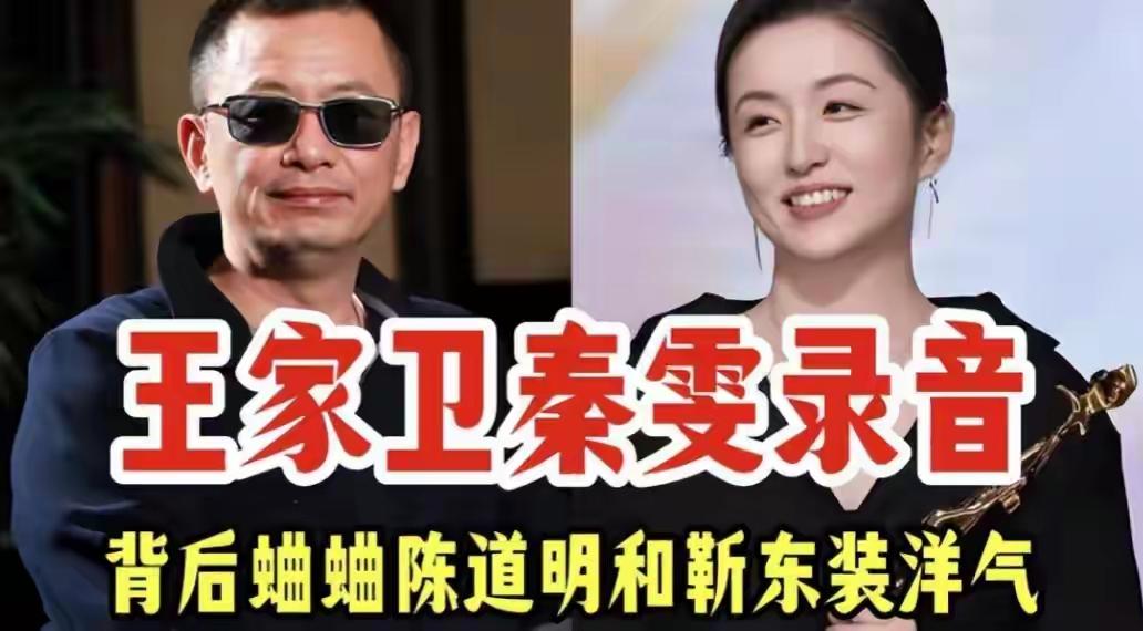 文化人说话都这么匪夷所思吗？
    近期一段有关导演王家卫的录音在网上走红，我