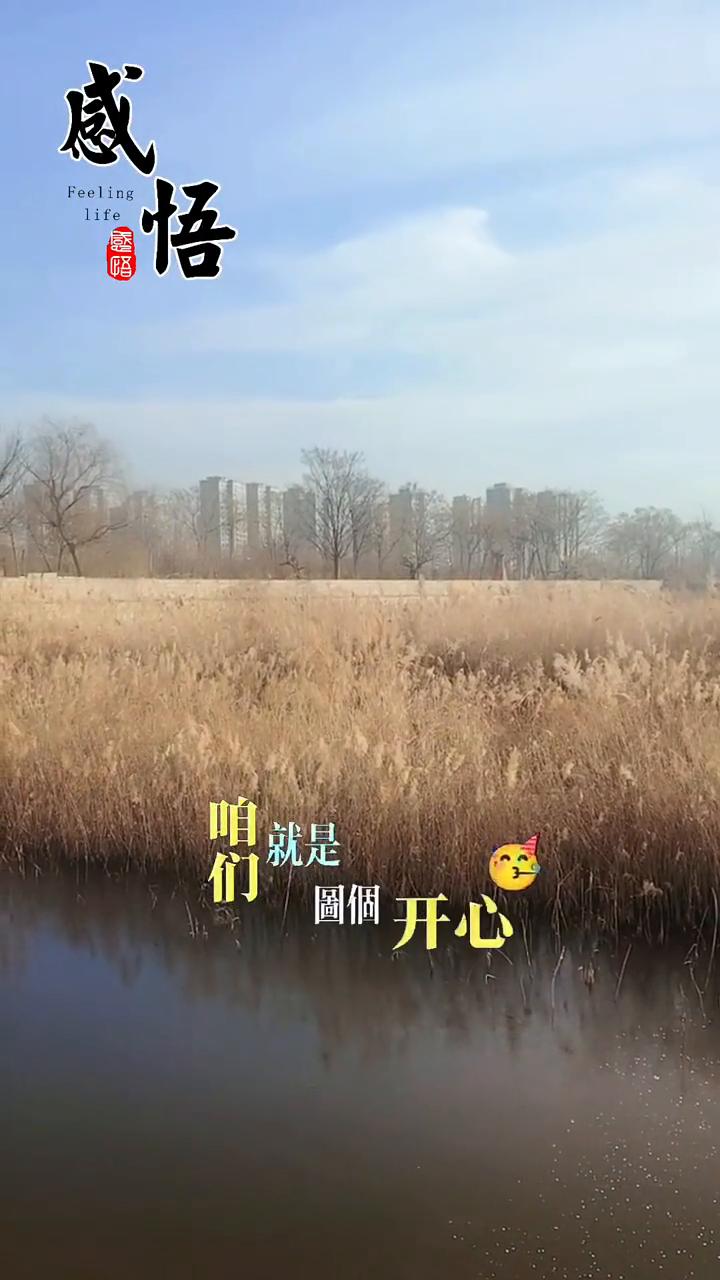 感悟。
没事你就拍个抖音，我们就是图个开心。在忙碌的生活中挤出一些属于自己的时间