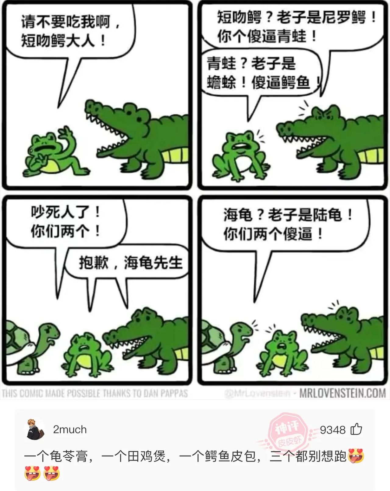 这难道就是动物世界之暴躁老哥版