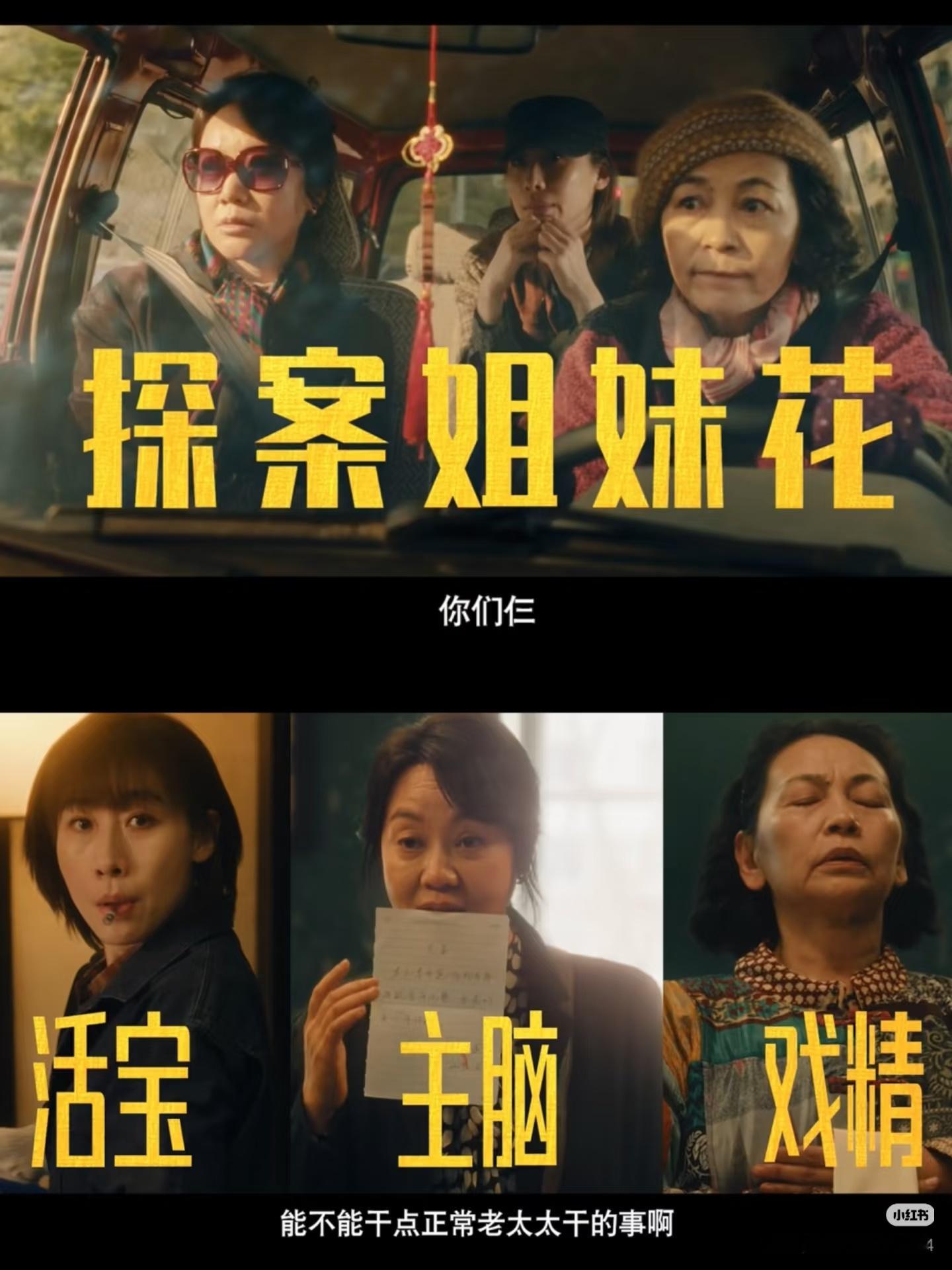 挺想看这个的，而且看简介还是公路片。本人作为公路片和老头老太探案类忠实爱好者肯定