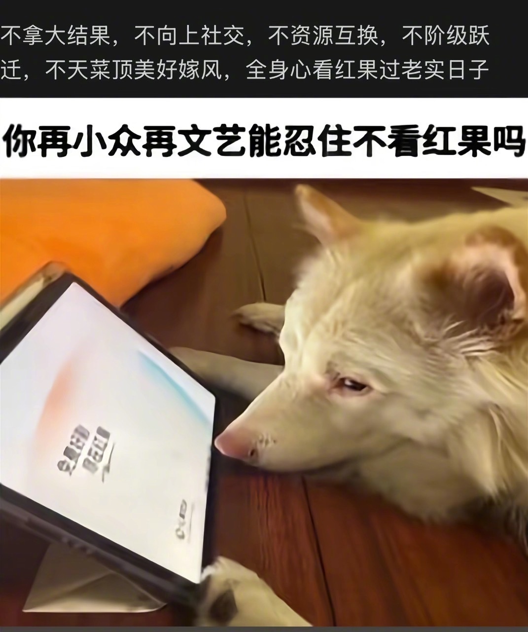 红果短剧降智很多人吐槽红果短剧剧情劣质、降智，其实我觉得大家看它本来就没打算动脑