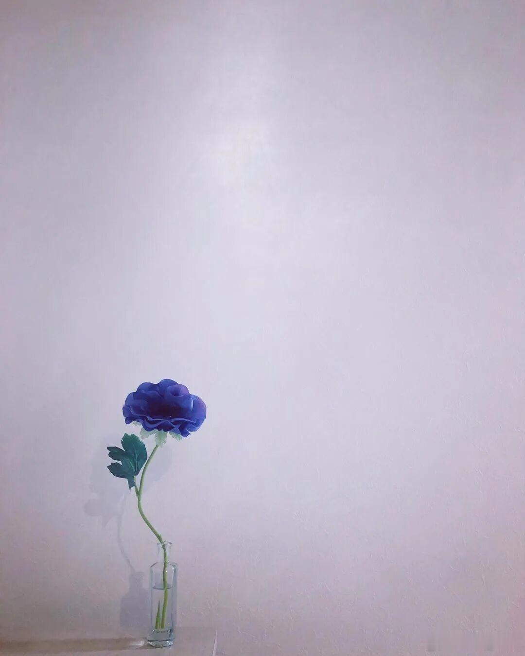 手机壁纸风雨终会相逢。万事万物都有其运行的节奏。所以，别急。你只管扎实地走你的路