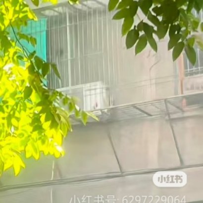 000000自己的命运从来都是掌握在自己的手中，好生活在于进取，也在于知足。做自