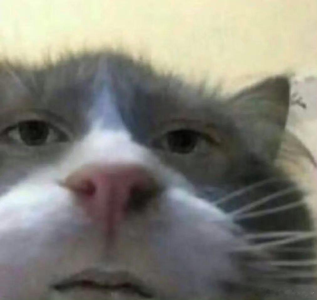 第五人格[超话] 大家希望第五人格出一个啥样的归宿！来个中式的吧 