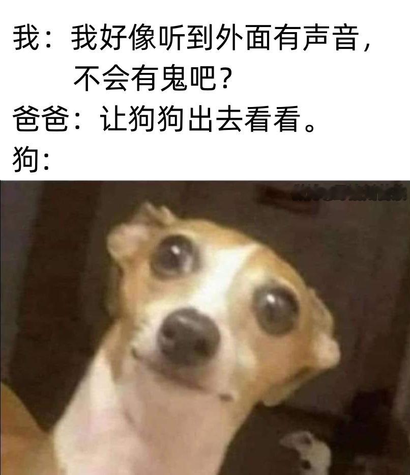 你自己去呗 