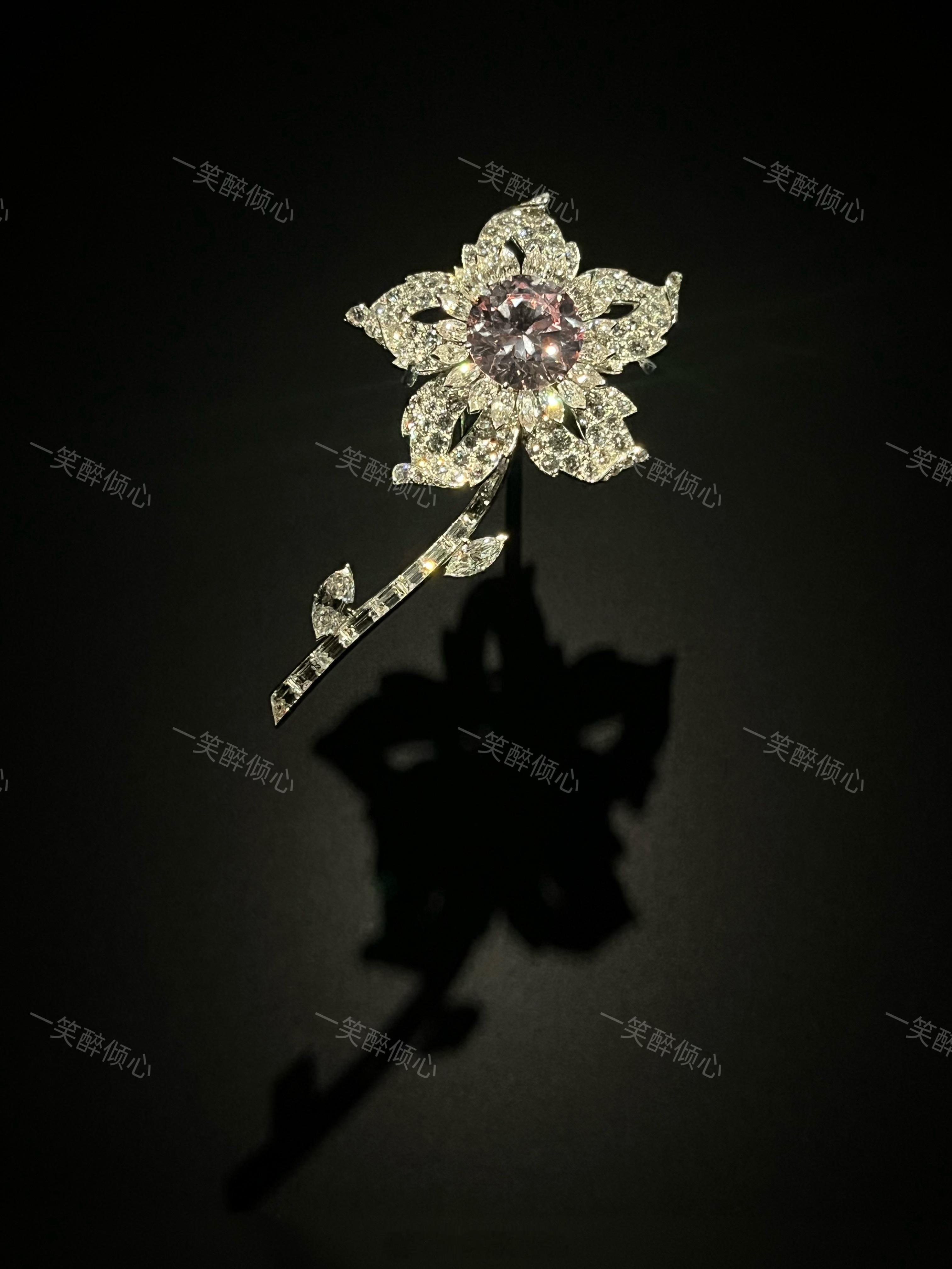卡地亚珠宝展 ​​​