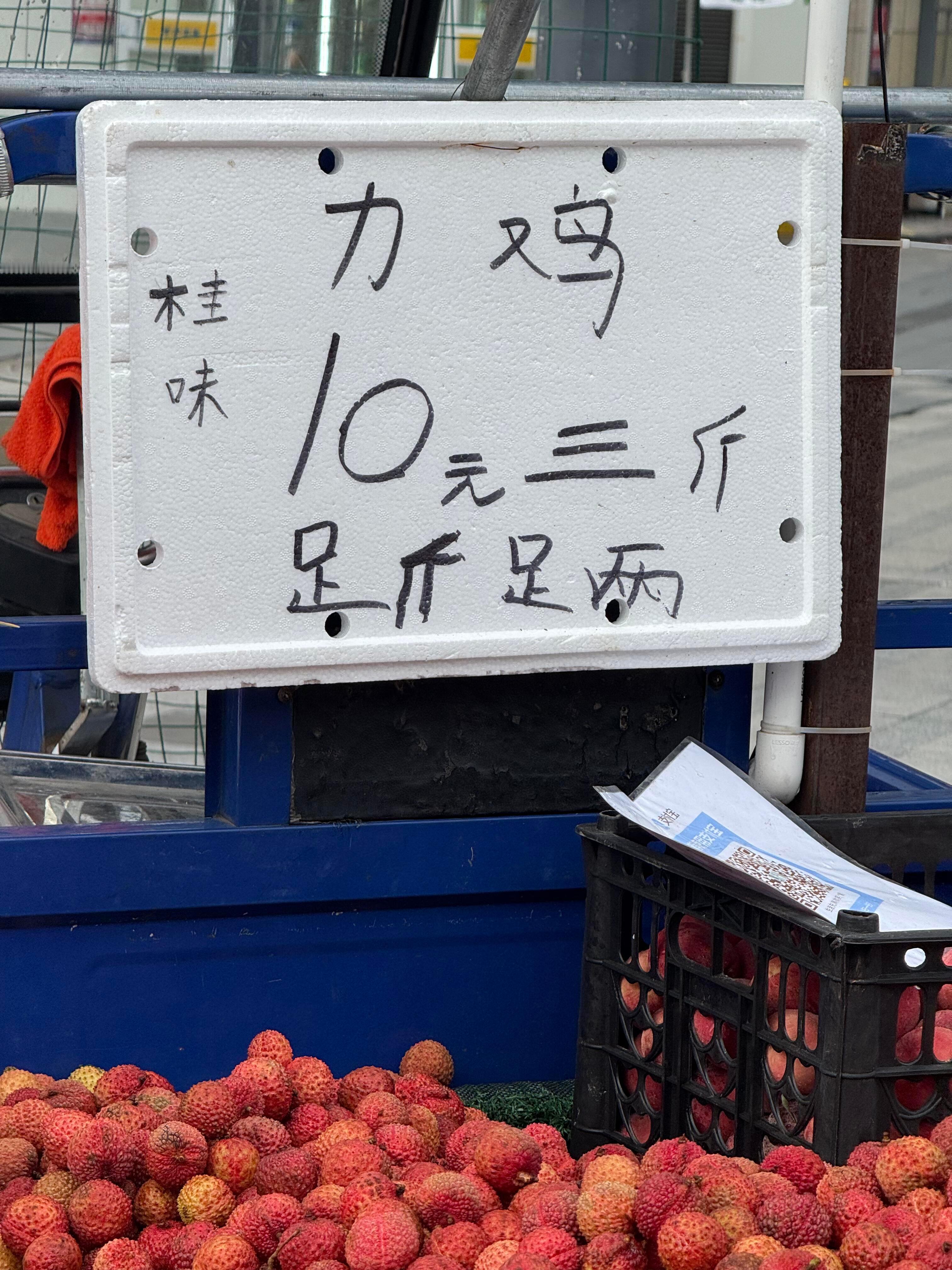 广东新品种的鸡：力鸡 ​​​